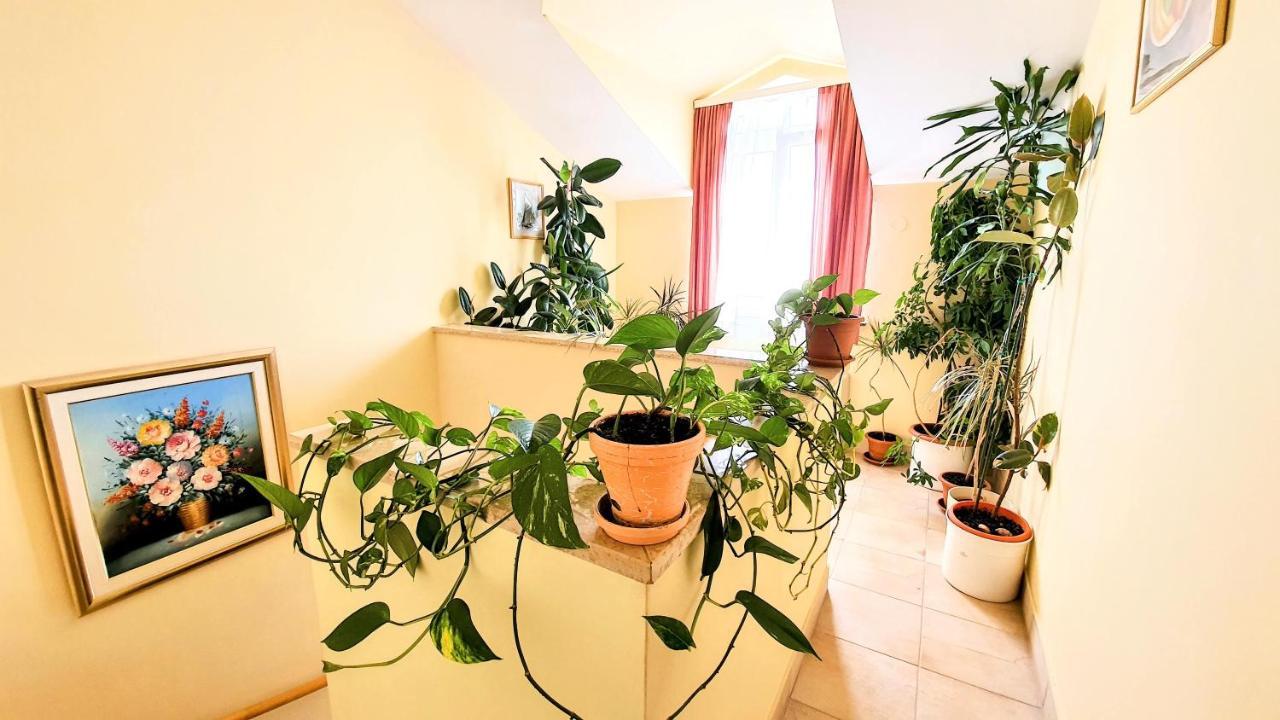 Villa Palcic Novalja Eksteriør bilde